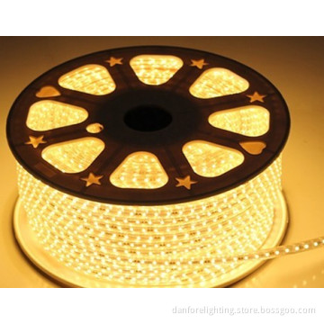 110V 220V 120LED SMD3528 Flex LED Strip Light